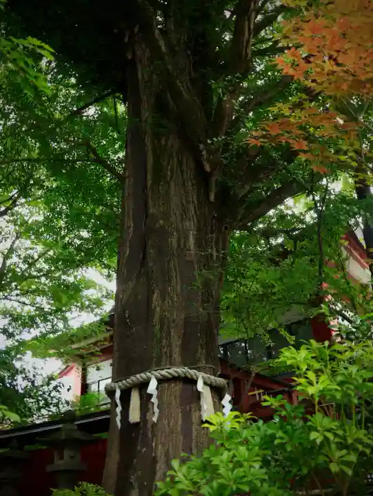秩父神社(埼玉県)