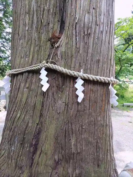 高司神社〜むすびの神の鎮まる社〜(福島県)