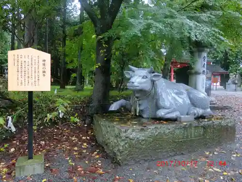 冨士御室浅間神社の御朱印