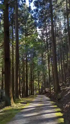 古知谷阿弥陀寺の周辺