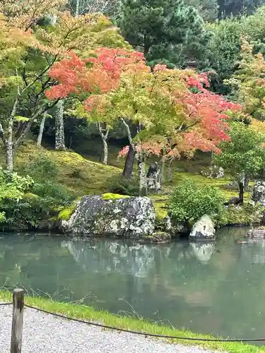 天龍寺の庭園