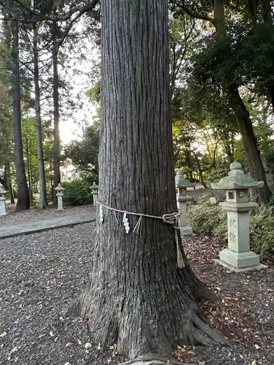 春日神社(滋賀県)