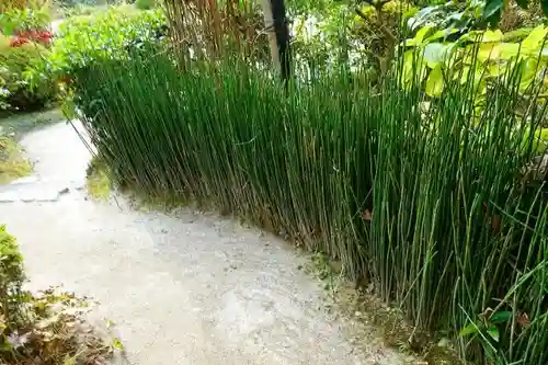 詩仙堂（丈山寺）の庭園