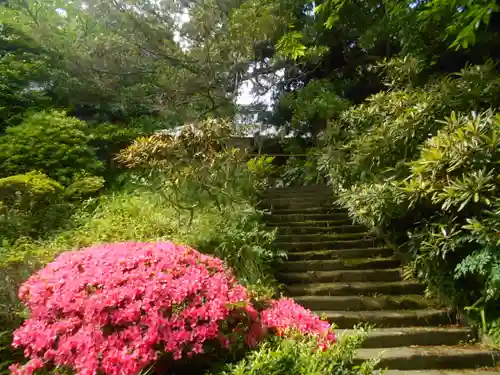 浄光明寺の景色