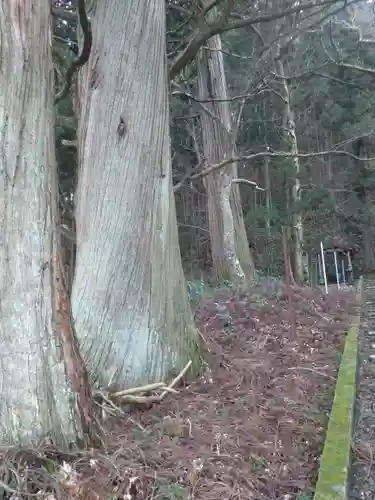 梅内神社の自然
