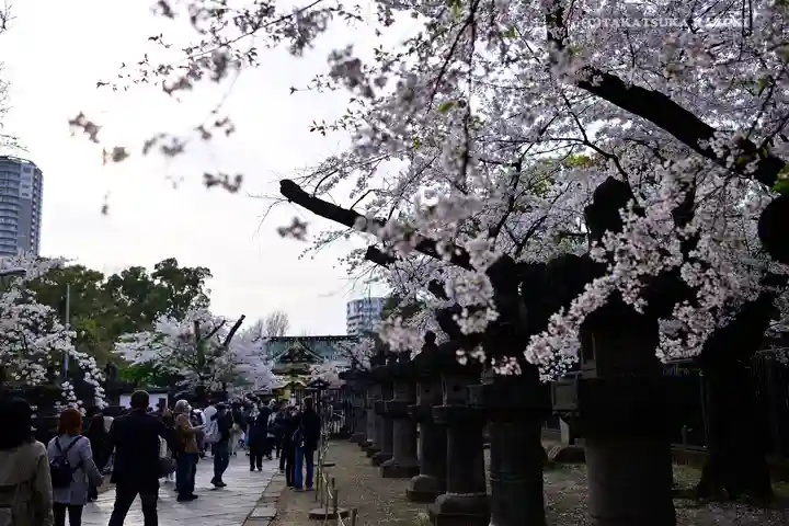 上野東照宮の自然