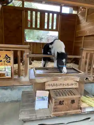 平塚八幡宮(神奈川県)