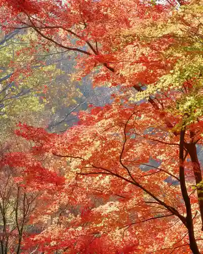 早馬神社の景色