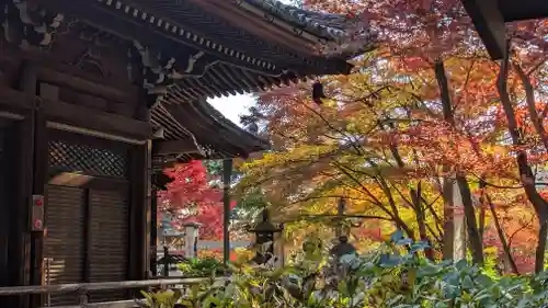柳谷観音　楊谷寺(京都府)