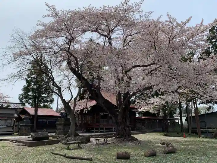 弘前八坂神社の自然
