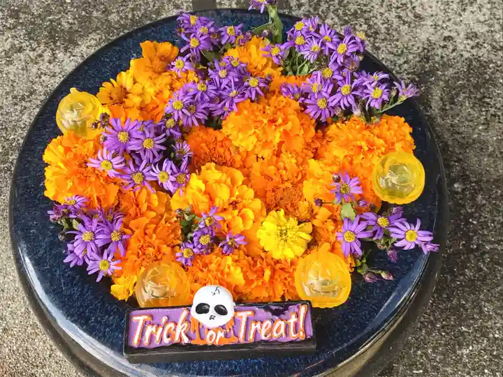 真言宗 善通寺派 薬王寺の手水舎