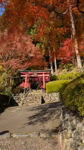善峯寺(京都府)