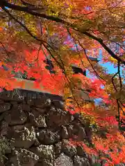 眞田神社(長野県)