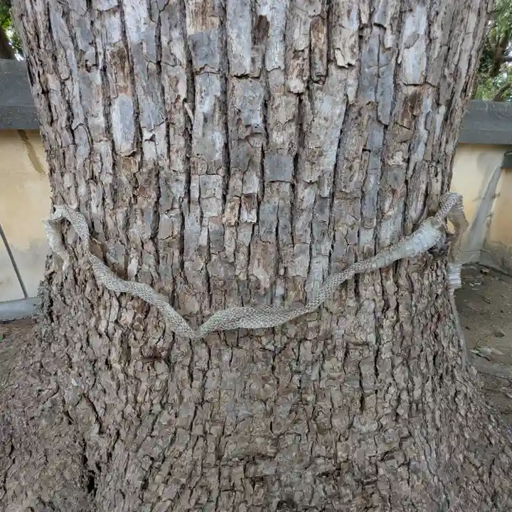 三津厳島神社(愛媛県)