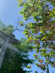 櫻田山神社(宮城県)