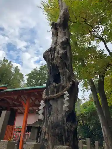 難波大社　生國魂神社(大阪府)