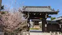 妙蓮寺の山門・神門
