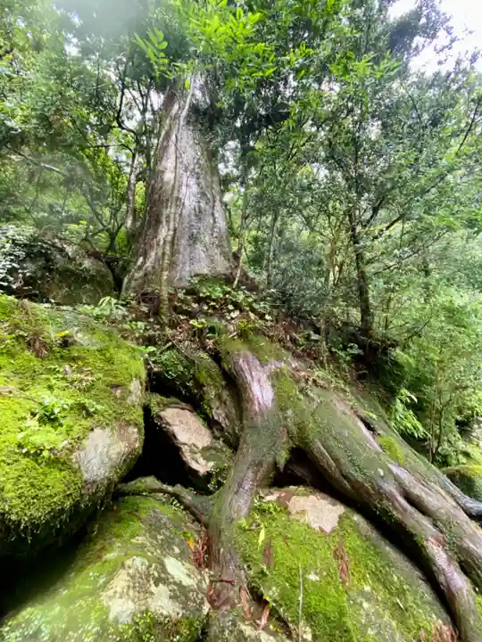 飛瀧神社(熊野那智大社別宮)(和歌山県)