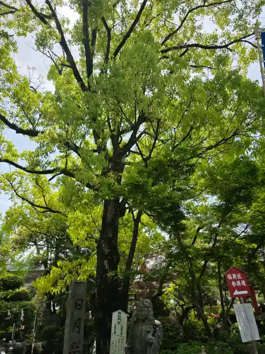 田村神社(香川県)