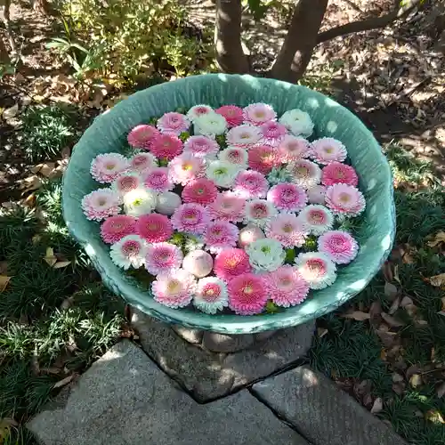 行田八幡神社の手水舎