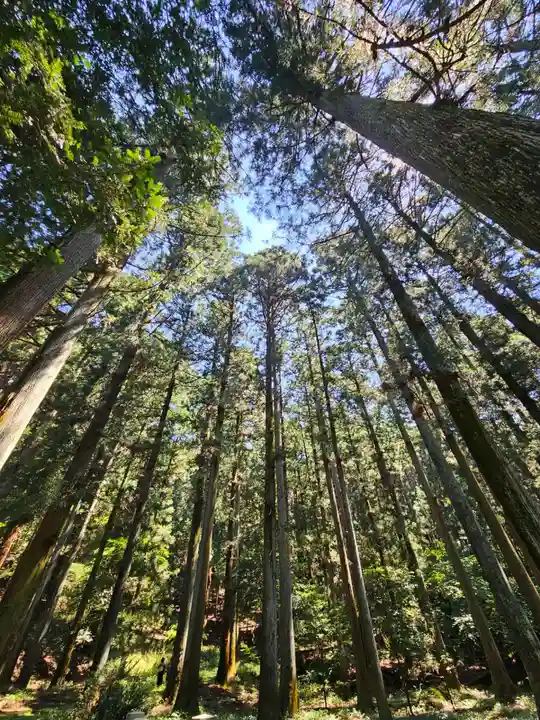 赤城神社(三夜沢町)の自然
