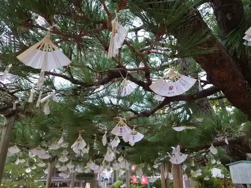 智恩寺のおみくじ