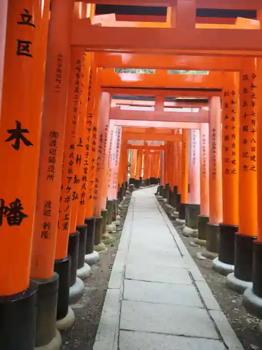 伏見稲荷大社の鳥居