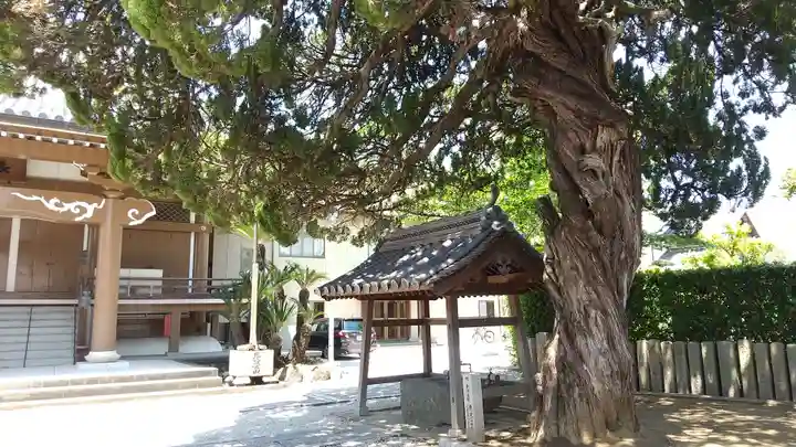 妙順寺(大阪府)
