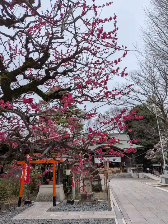 布多天神社(東京都)
