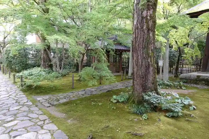 蓮華寺(洛北蓮華寺)の自然