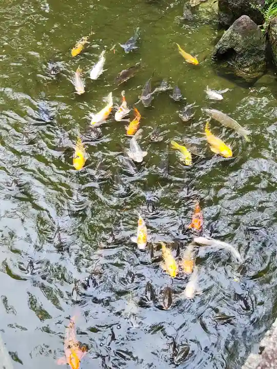西宮神社(兵庫県)