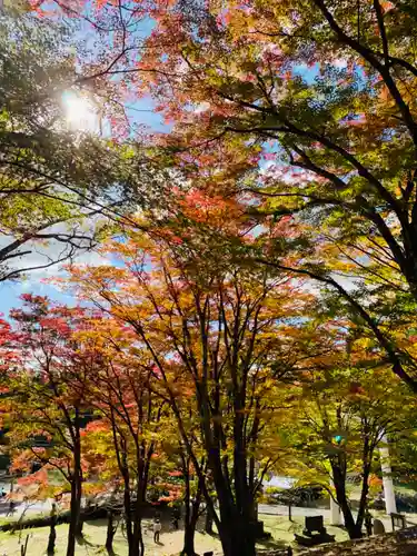 土津神社｜こどもと出世の神さまの自然