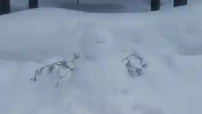 下川神社のその他建物