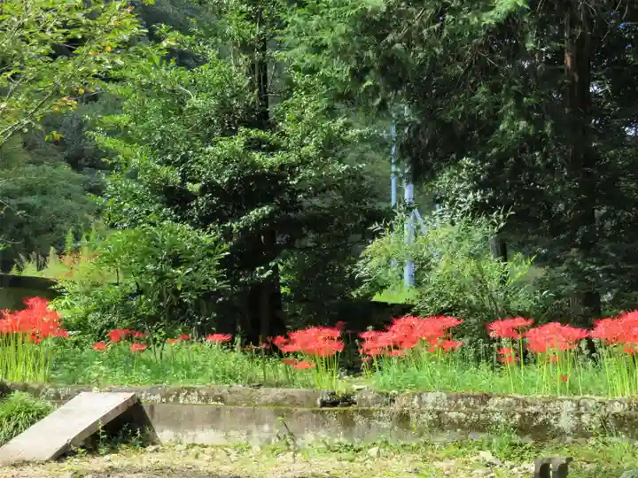 賀羅加波神社(広島県)