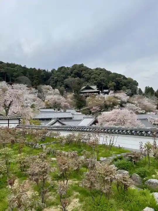 長谷寺(奈良県)