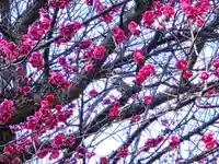 泉水稲荷神社(神奈川県)