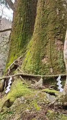 貴船神社のその他建物