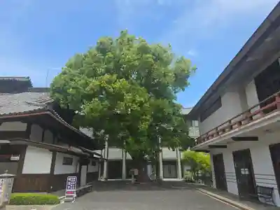 円満院門跡(滋賀県)