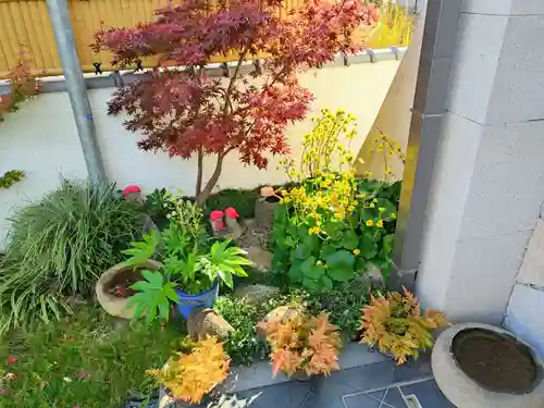 寿量山　速成寺(奈良県)