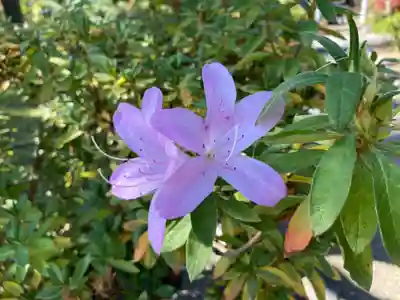 開成山大神宮(福島県)