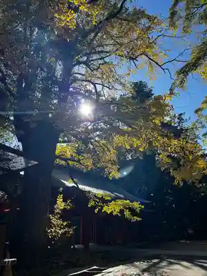 香取神宮(千葉県)