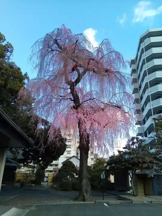 道仁寺(宮城県)