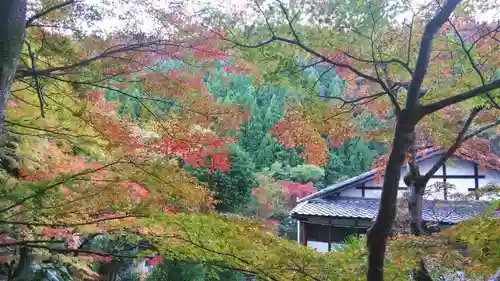 吟松寺の景色