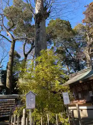 一言主神社(茨城県)