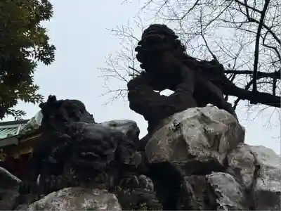 神田神社（神田明神）の狛犬