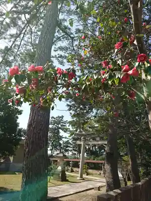 小松天満宮の自然