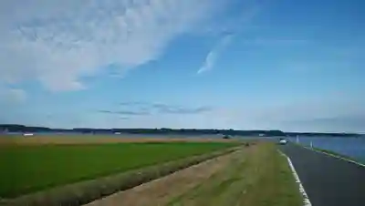 稲荷神社の周辺