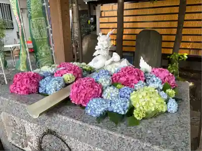 田無神社(東京都)