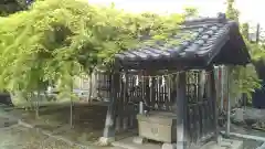 八雲神社 (通五丁目)の手水