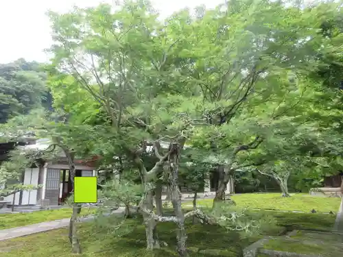 長壽寺（長寿寺）(神奈川県)